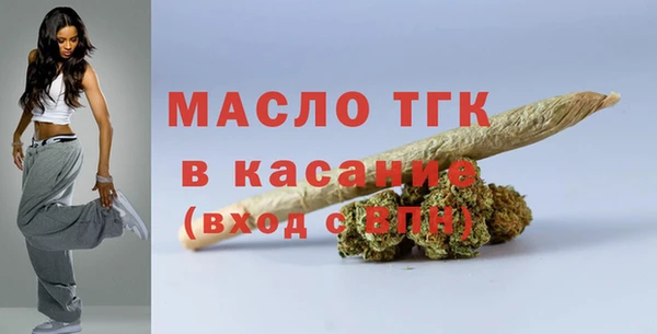 хмурый Аркадак