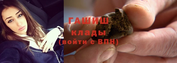 хмурый Аркадак