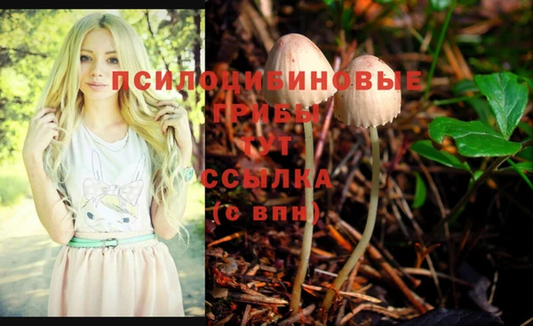 бутират Арсеньев