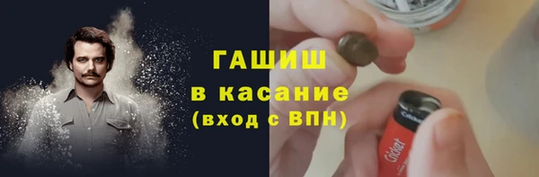 хмурый Аркадак