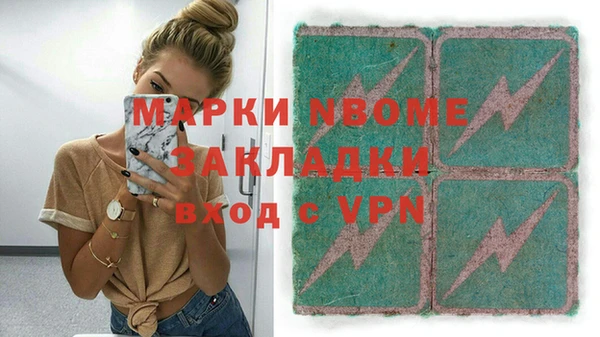 хмурый Аркадак
