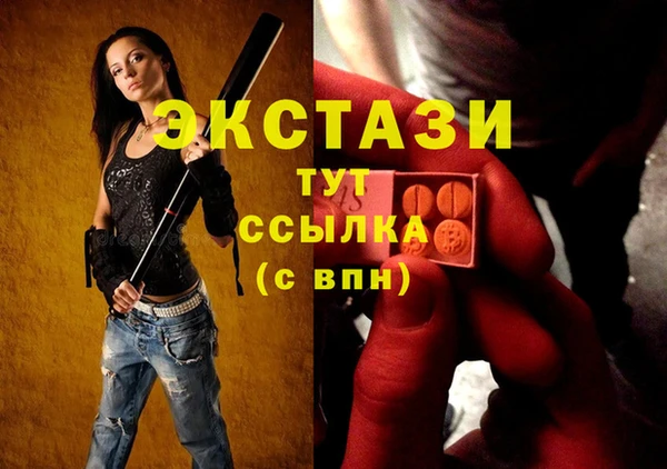 хмурый Аркадак