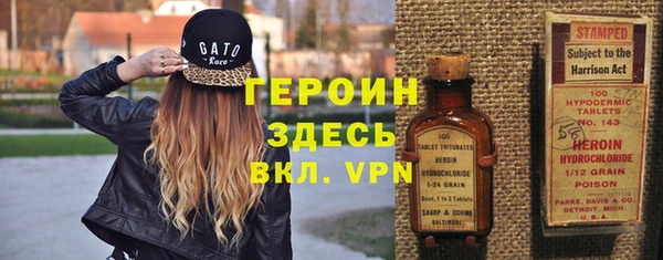 хмурый Аркадак