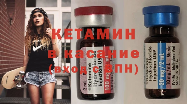 хмурый Аркадак
