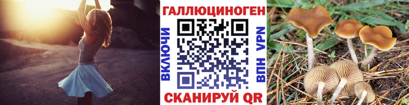 где купить   Ухта  Псилоцибиновые грибы GOLDEN TEACHER 